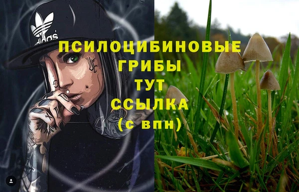 марки nbome Алексин