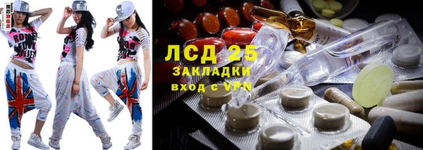 индика Армянск