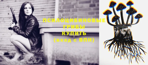 прущие грибы Зеленокумск