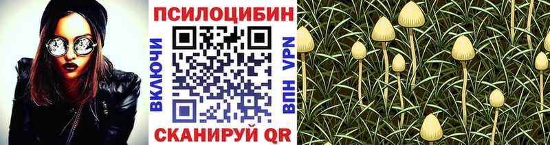 KRAKEN как зайти  Пласт  Псилоцибиновые грибы MAGIC MUSHROOMS 